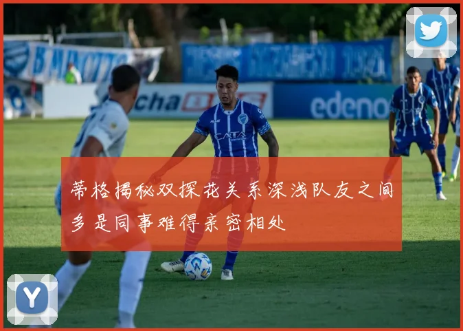 蒂格揭秘双探花关系深浅队友之间多是同事难得亲密相处